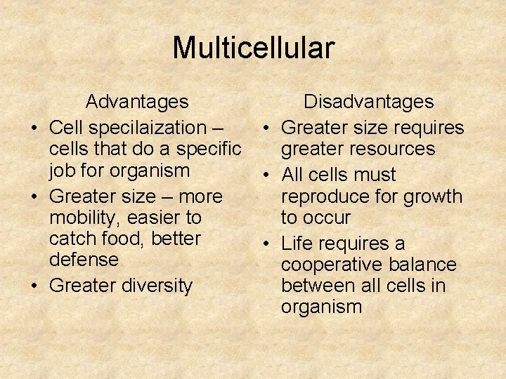Multicellular Advantages • Cell specilaization – cells that do a specific job for organism