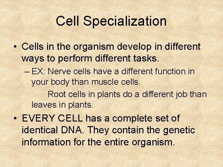 Cell Specialization • Cells in the organism develop in different ways to perform different