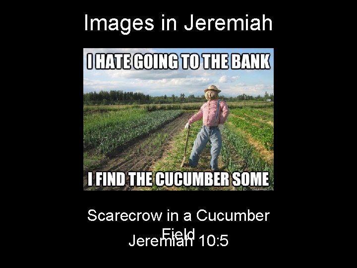 Images in Jeremiah Scarecrow in a Cucumber Field 10: 5 Jeremiah 