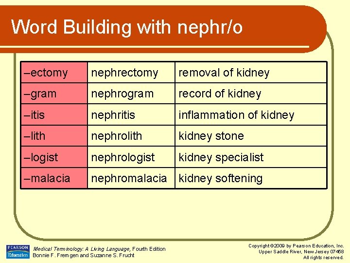 Word Building with nephr/o –ectomy nephrectomy removal of kidney –gram nephrogram record of kidney