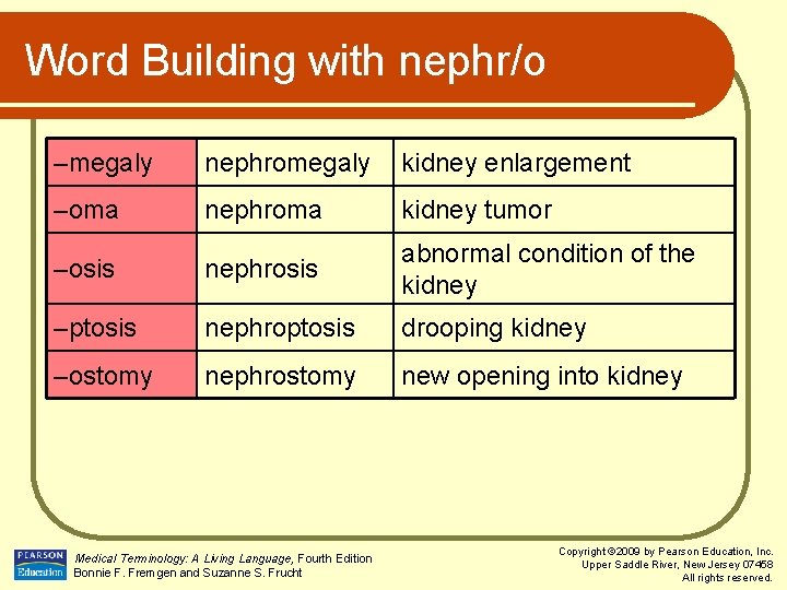 Word Building with nephr/o –megaly nephromegaly kidney enlargement –oma nephroma kidney tumor –osis nephrosis