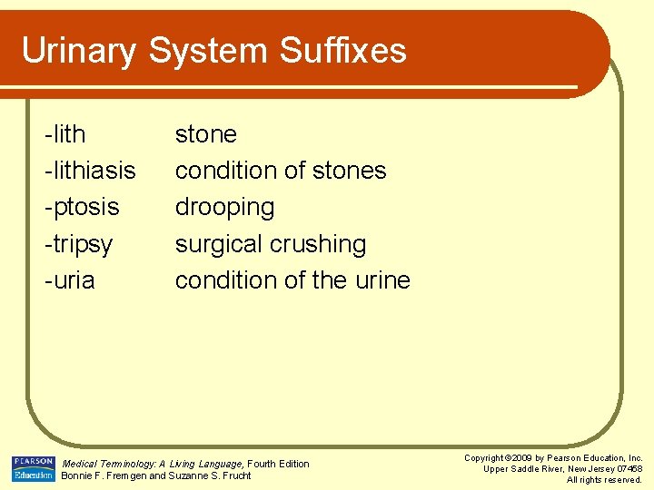 Urinary System Suffixes -lithiasis -ptosis -tripsy -uria stone condition of stones drooping surgical crushing