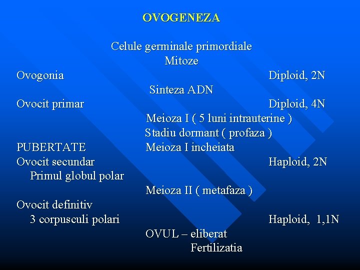 OVOGENEZA Celule germinale primordiale Mitoze Ovogonia Diploid, 2 N Sinteza ADN Ovocit primar PUBERTATE
