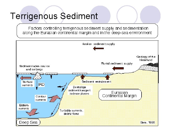 Terrigenous Sediment 