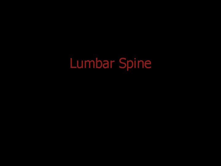 Lumbar Spine 