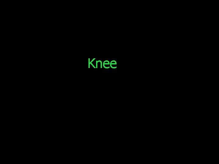 Knee 