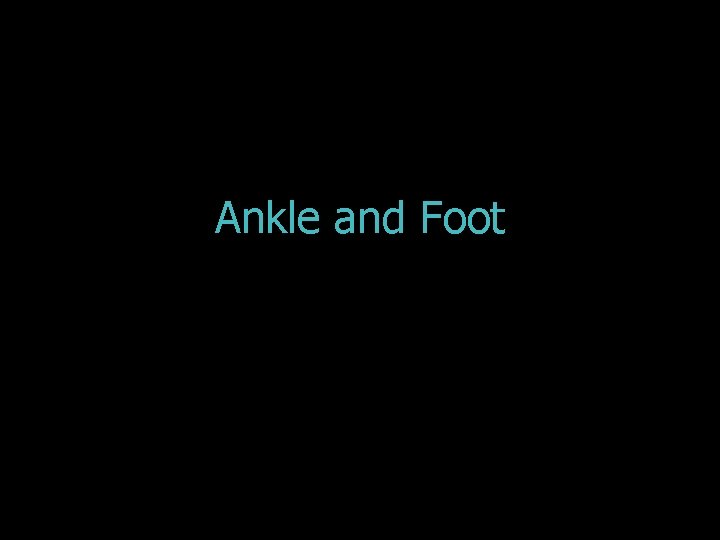 Ankle and Foot 