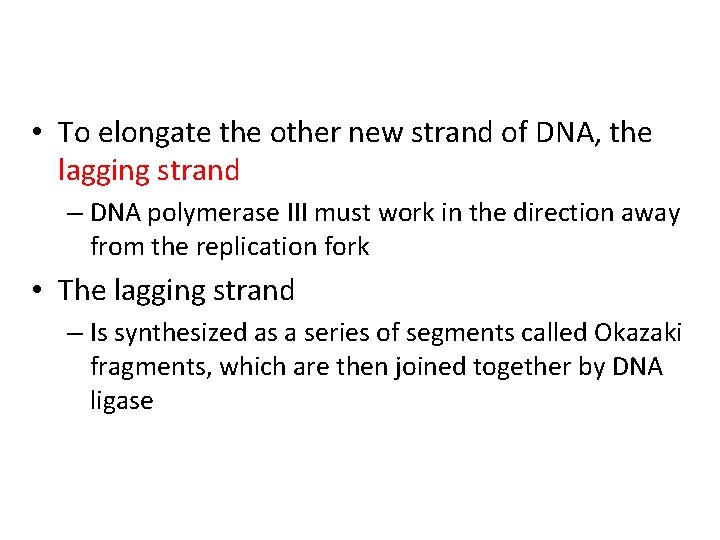  • To elongate the other new strand of DNA, the lagging strand –