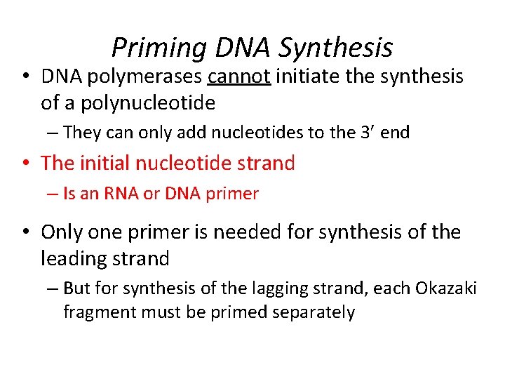 Priming DNA Synthesis • DNA polymerases cannot initiate the synthesis of a polynucleotide –