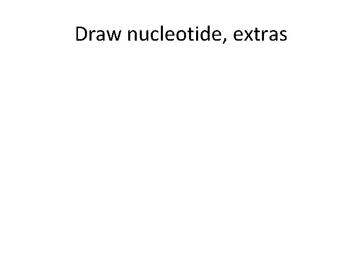Draw nucleotide, extras 