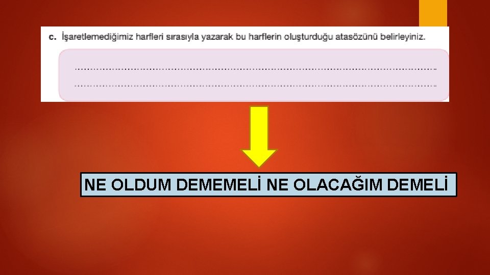 NE OLDUM DEMEMELİ NE OLACAĞIM DEMELİ 