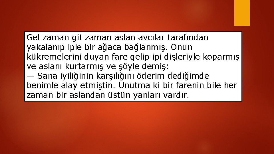 Gel zaman git zaman aslan avcılar tarafından yakalanıp iple bir ağaca bağlanmış. Onun kükremelerini