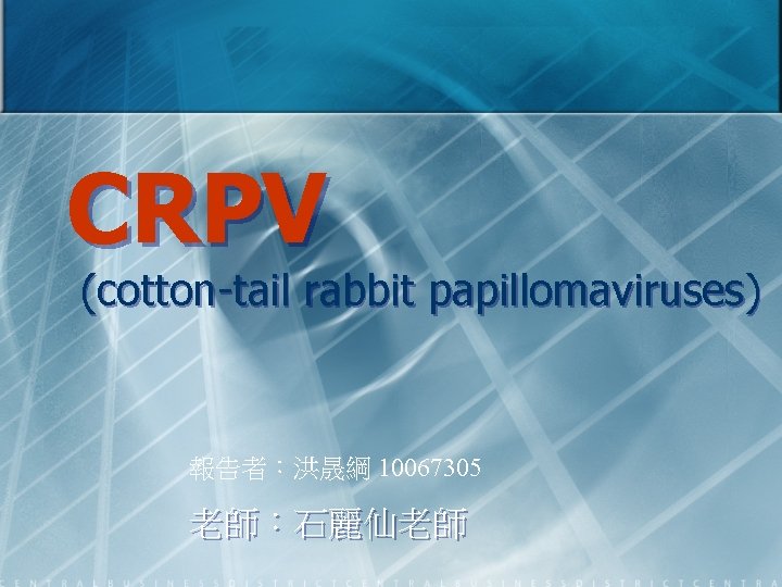 CRPV (cotton-tail rabbit papillomaviruses) 報告者：洪晟綱 10067305 老師：石麗仙老師 