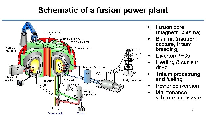 Schematic of a fusion power plant • • Fusion core (magnets, plasma) Blanket (neutron