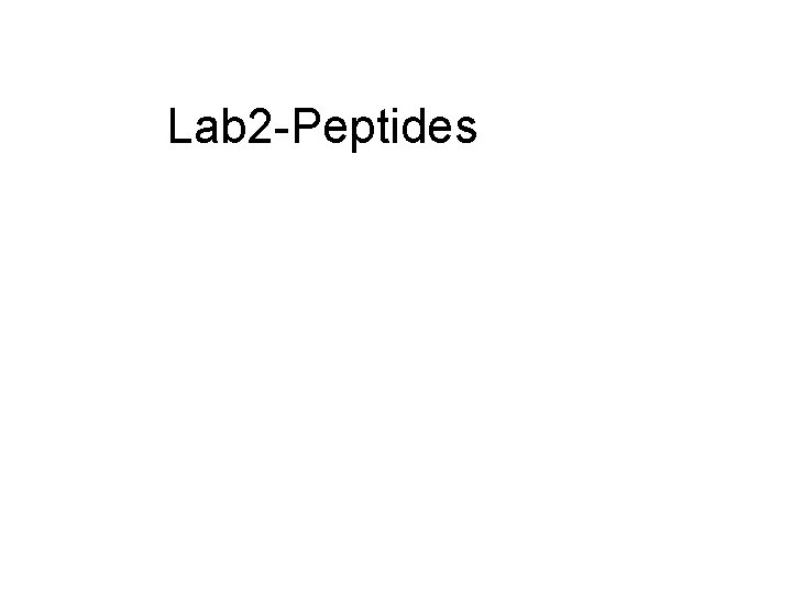Lab 2 -Peptides 