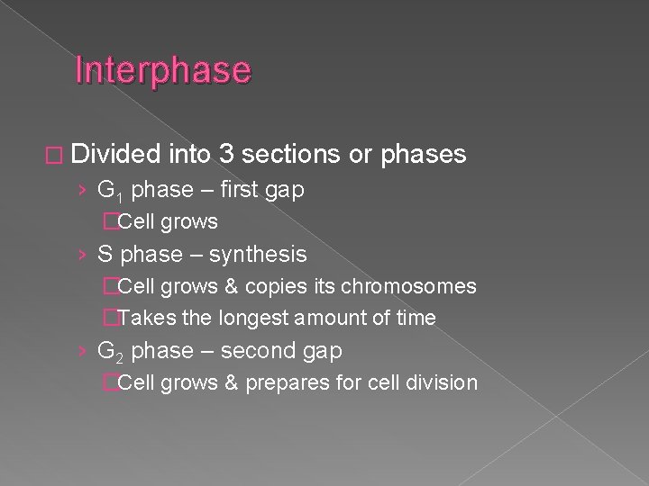 Interphase � Divided into 3 sections or phases › G 1 phase – first