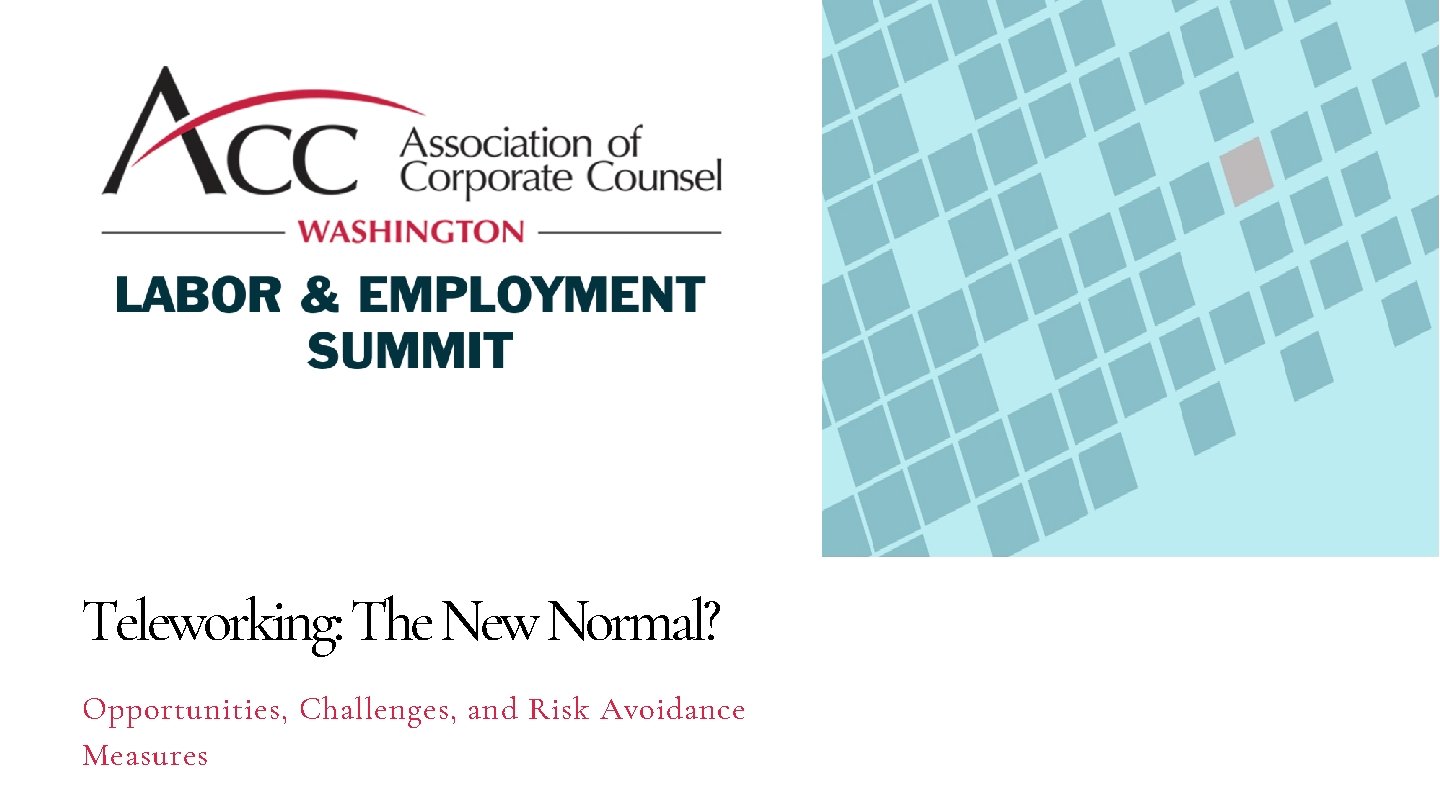 Teleworking: The New Normal? Opportunities, Challenges, and Risk Avoidance Measures 