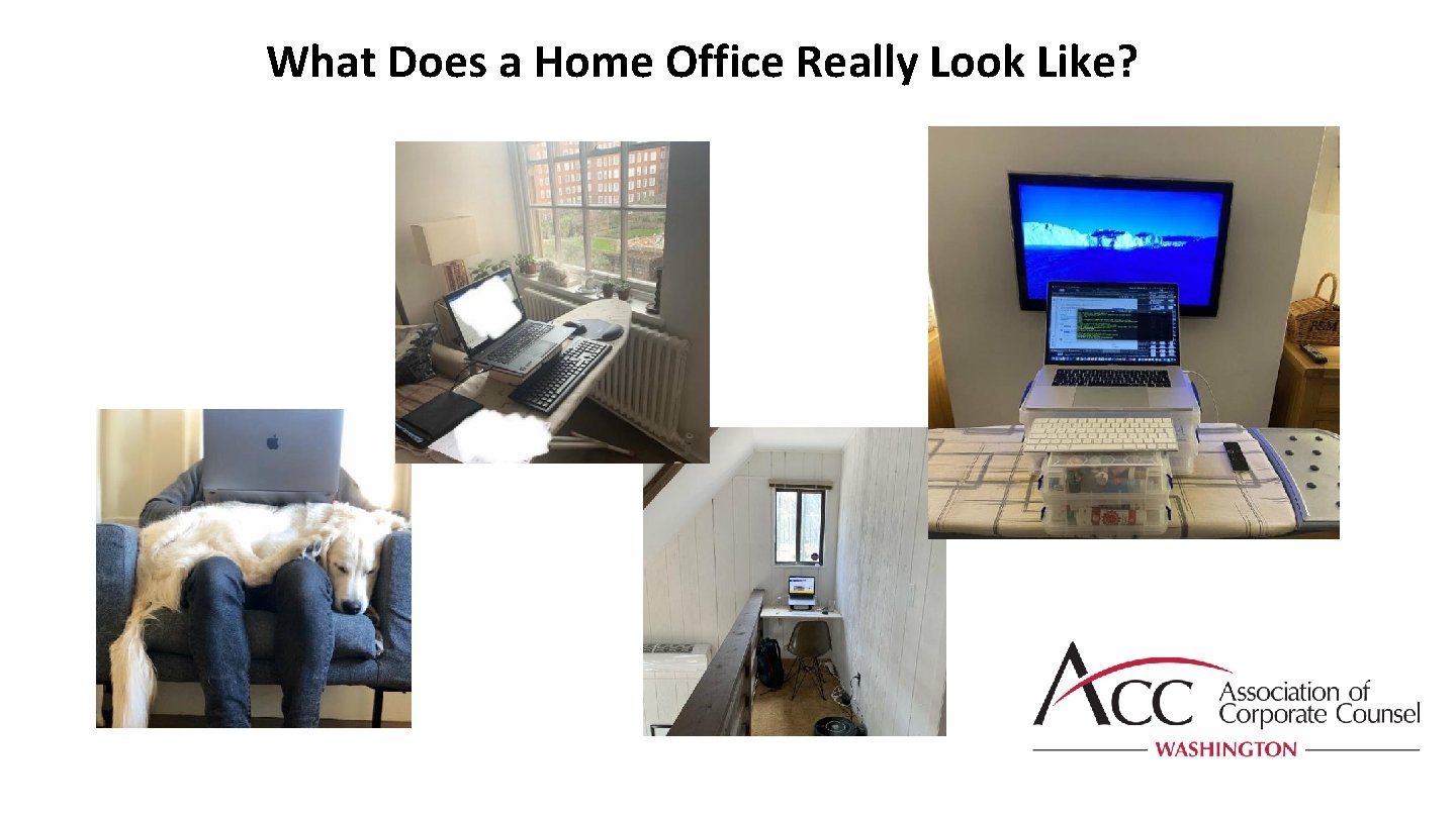 What Does a Home Office Really Look Like? 