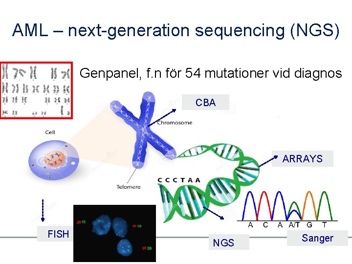 AML – next-generation sequencing (NGS) Genpanel, f. n för 54 mutationer vid diagnos CBA