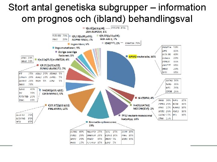Stort antal genetiska subgrupper – information om prognos och (ibland) behandlingsval 