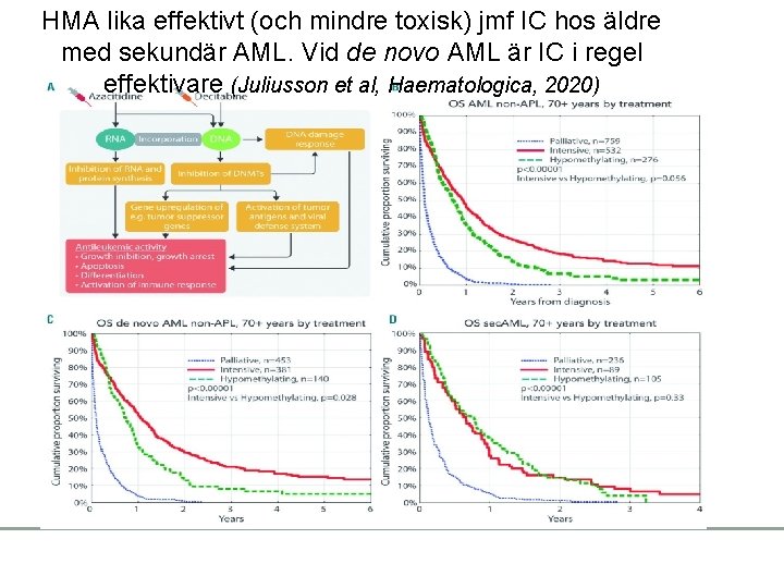 HMA lika effektivt (och mindre toxisk) jmf IC hos äldre med sekundär AML. Vid