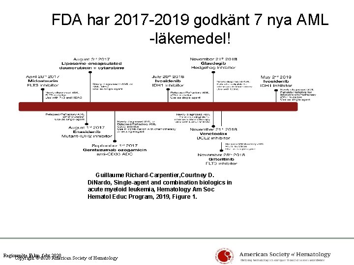 FDA har 2017 -2019 godkänt 7 nya AML -läkemedel! Guillaume Richard-Carpentier, Courtney D. Di.