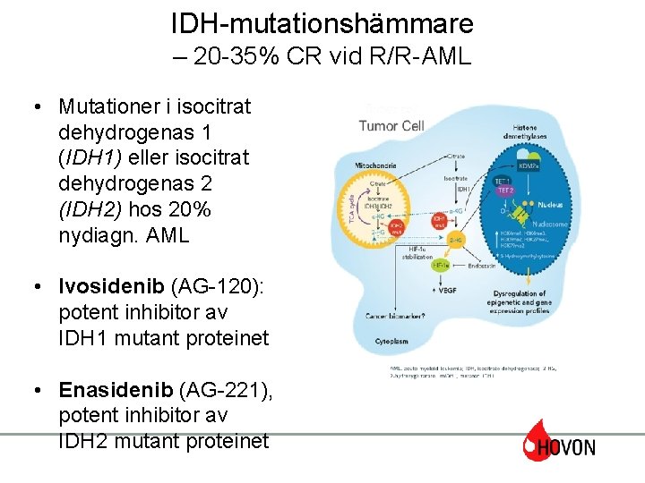 IDH-mutationshämmare – 20 -35% CR vid R/R-AML • Mutationer i isocitrat dehydrogenas 1 (IDH