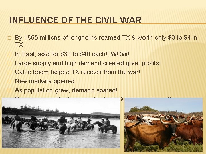 INFLUENCE OF THE CIVIL WAR � � � � By 1865 millions of longhorns