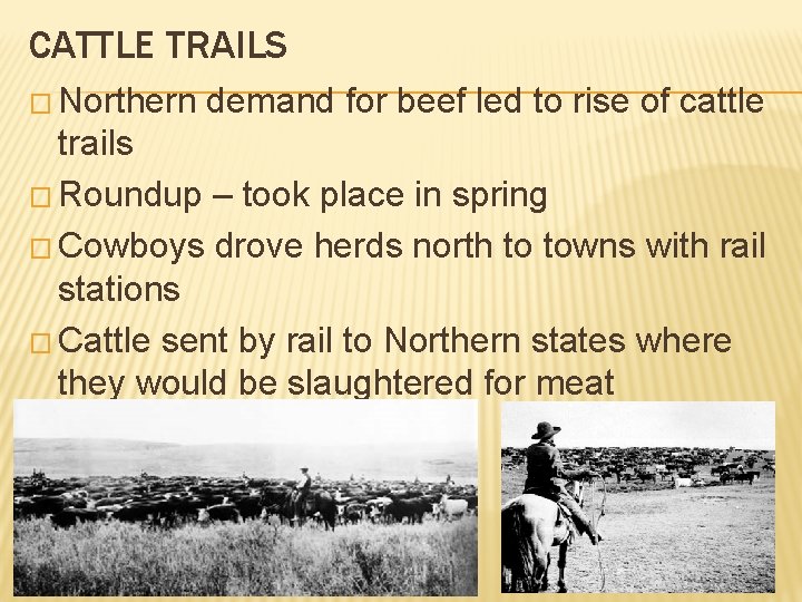 CATTLE TRAILS � Northern demand for beef led to rise of cattle trails �