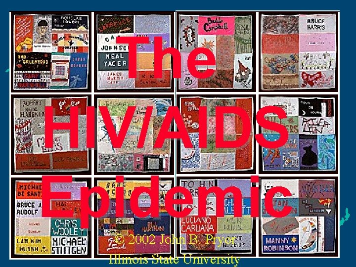 The HIV/AIDS Epidemic © 2002 John B. Pryor Illinois State University 