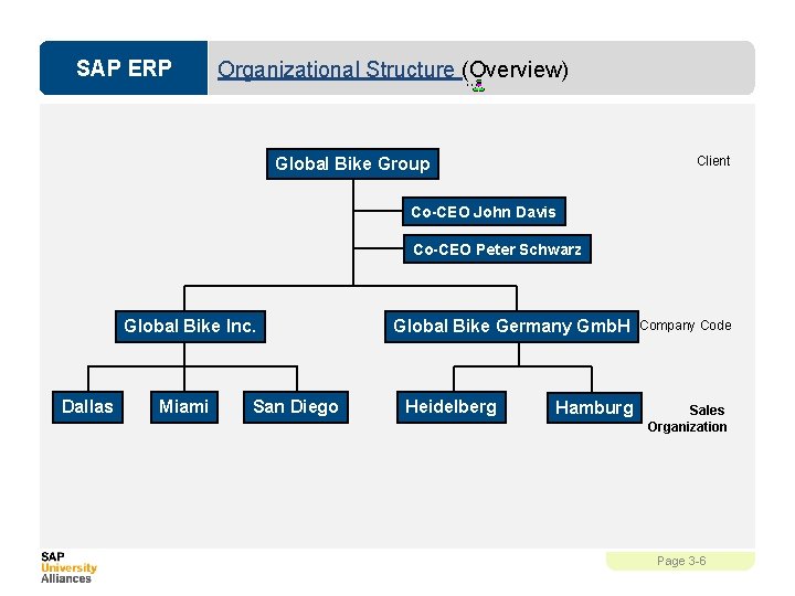 SAP ERP Organizational Structure (Overview) Client Global Bike Group Co-CEO John Davis Co-CEO Peter