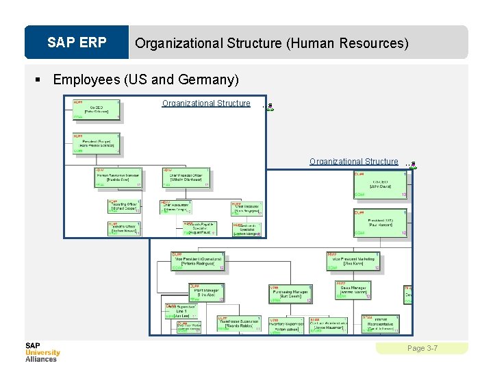 SAP ERP Organizational Structure (Human Resources) § Employees (US and Germany) Organizational Structure Page