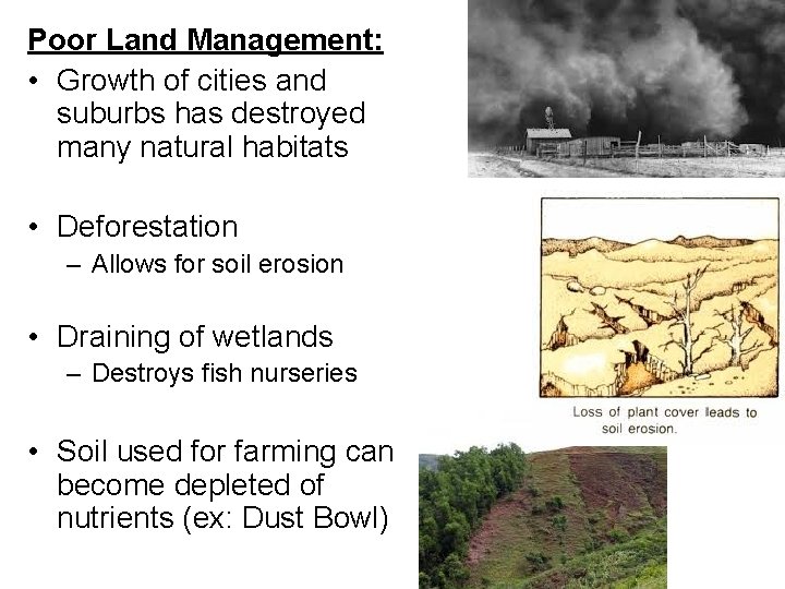 Poor Land Management: • Growth of cities and suburbs has destroyed many natural habitats