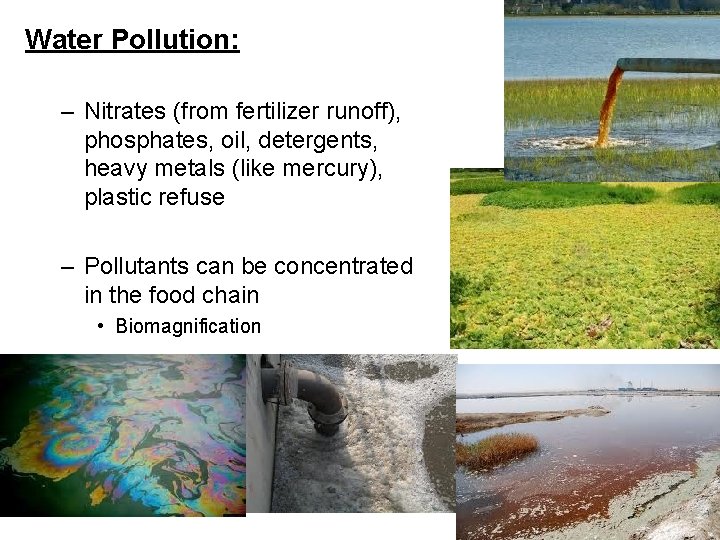 Water Pollution: – Nitrates (from fertilizer runoff), phosphates, oil, detergents, heavy metals (like mercury),