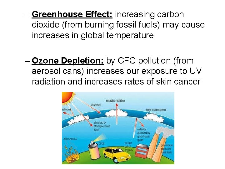 – Greenhouse Effect: increasing carbon dioxide (from burning fossil fuels) may cause increases in