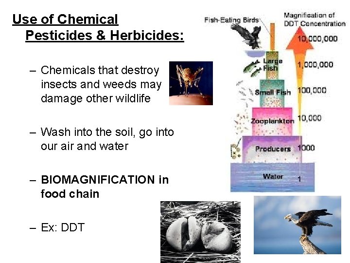 Use of Chemical Pesticides & Herbicides: – Chemicals that destroy insects and weeds may