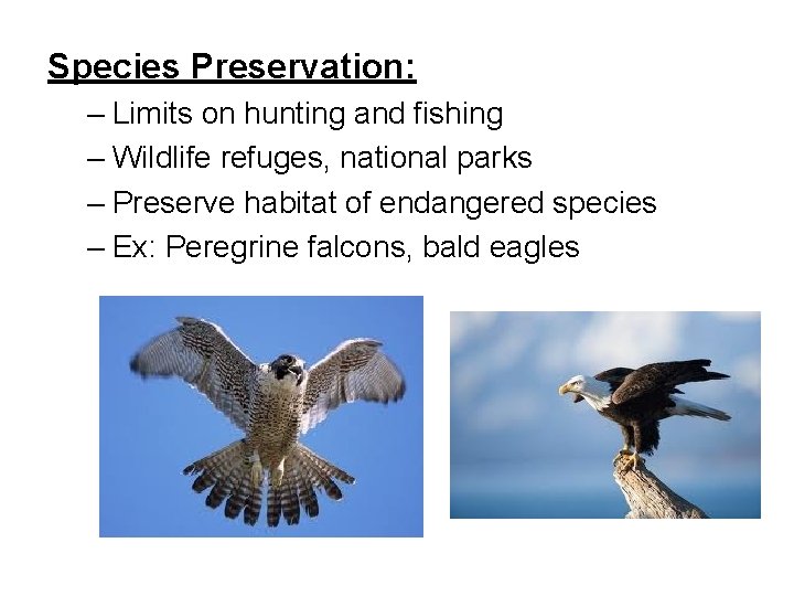 Species Preservation: – Limits on hunting and fishing – Wildlife refuges, national parks –