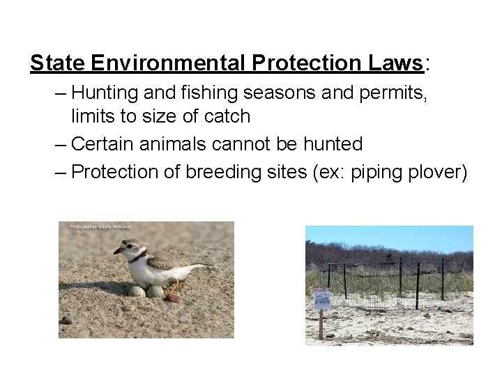 State Environmental Protection Laws: – Hunting and fishing seasons and permits, limits to size