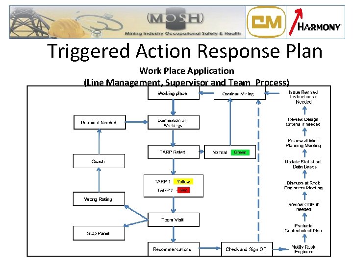 Triggered Action Response Plan Work Place Application (Line Management, Supervisor and Team Process) 