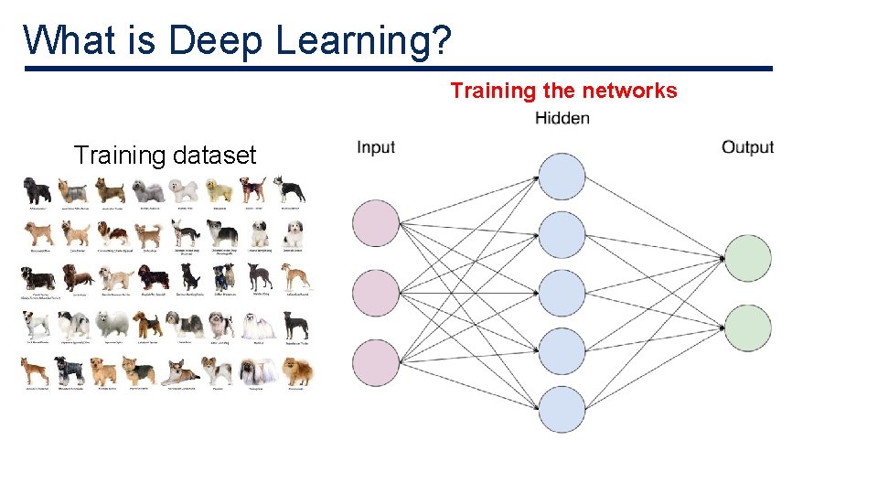 What is Deep Learning? Training the networks Training dataset What is Deep Learning? Training the networks Training dataset