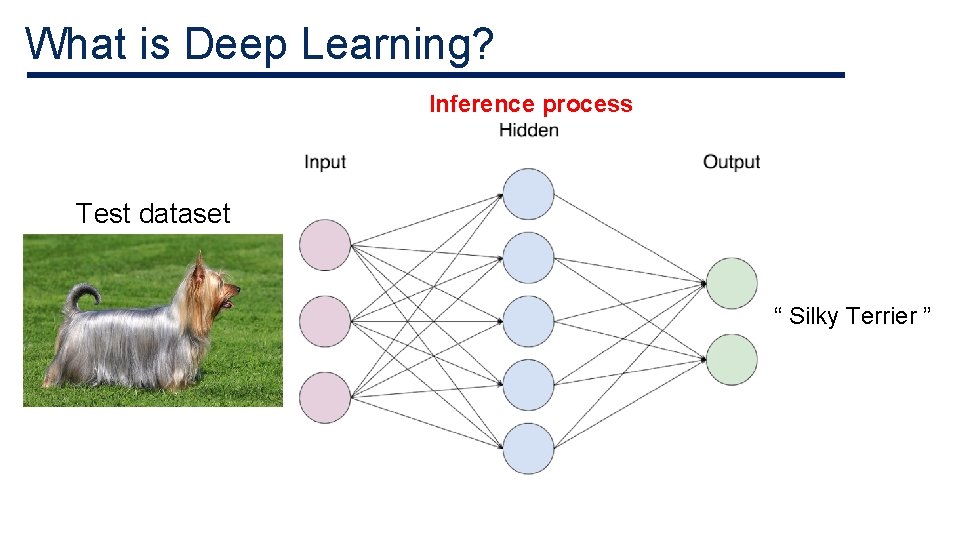 What is Deep Learning? Inference process Test dataset “ Silky Terrier ” What is Deep Learning? Inference process Test dataset “ Silky Terrier ”