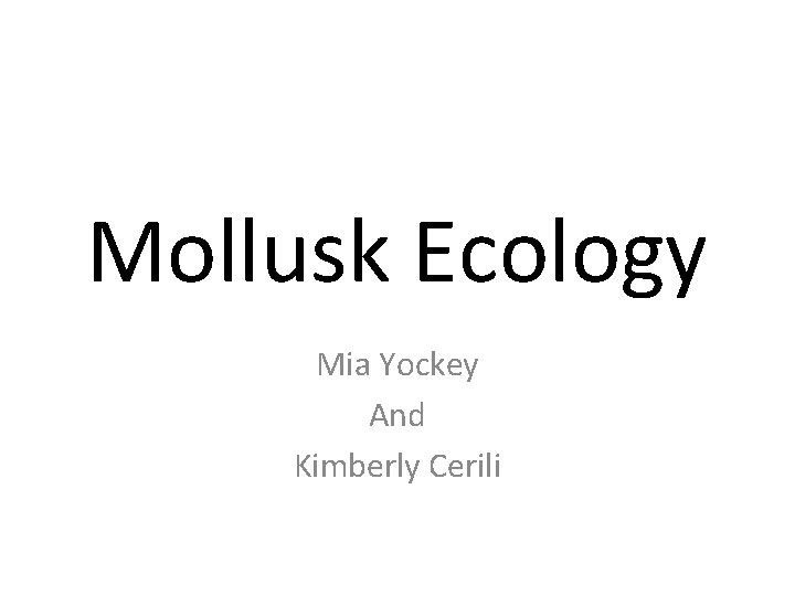 Mollusk Ecology Mia Yockey And Kimberly Cerili 