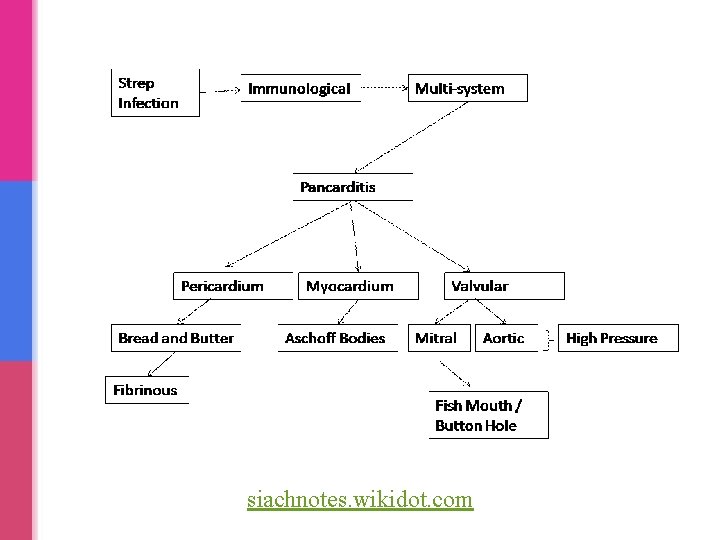 Patofisiologi Rhd Pathology of Rheumatic heart disease infective endocarditis and