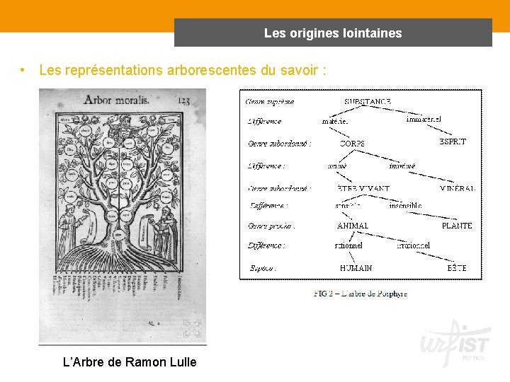 Les origines lointaines • Les représentations arborescentes du savoir : L’Arbre de Ramon Lulle