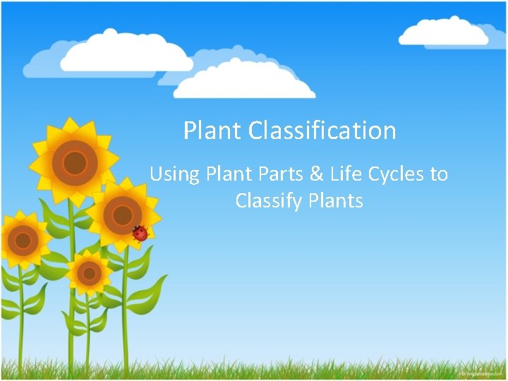 Plant Classification Using Plant Parts & Life Cycles to Classify Plants 