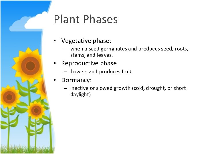 Plant Phases • Vegetative phase: – when a seed germinates and produces seed, roots,