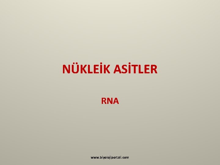 NÜKLEİK ASİTLER RNA www. biyolojiportali. com 