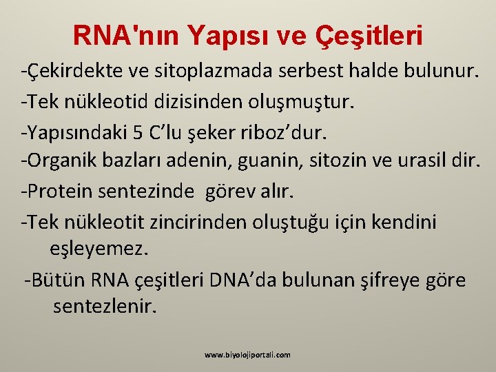 RNA'nın Yapısı ve Çeşitleri -Çekirdekte ve sitoplazmada serbest halde bulunur. -Tek nükleotid dizisinden oluşmuştur.