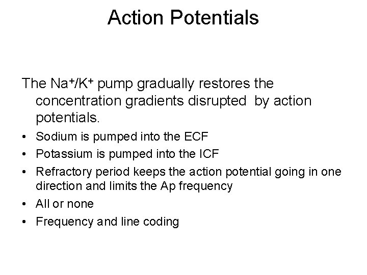 Action Potentials The Na+/K+ pump gradually restores the concentration gradients disrupted by action potentials.