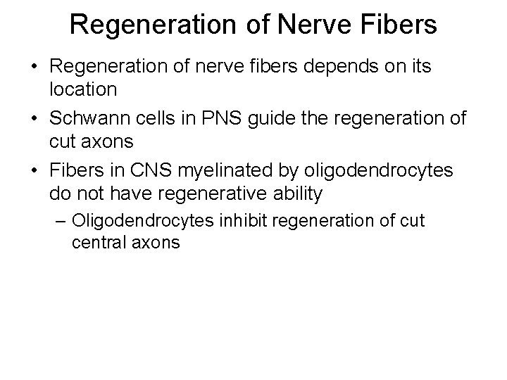 Regeneration of Nerve Fibers • Regeneration of nerve fibers depends on its location •
